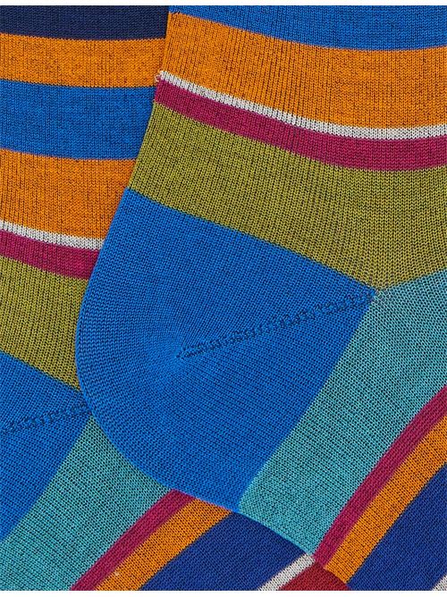 AP10317232954 FANTASIA gallo | AP10317232954 FANTASIA